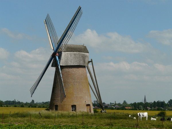 Joli moulin