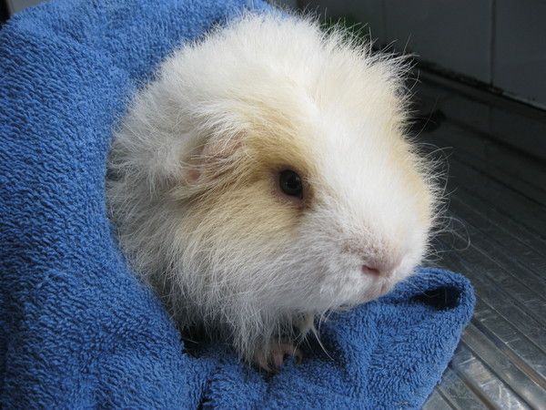 Hugo sort de son bain