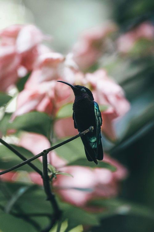 Image du Blog eliotkitty.centerblog.net