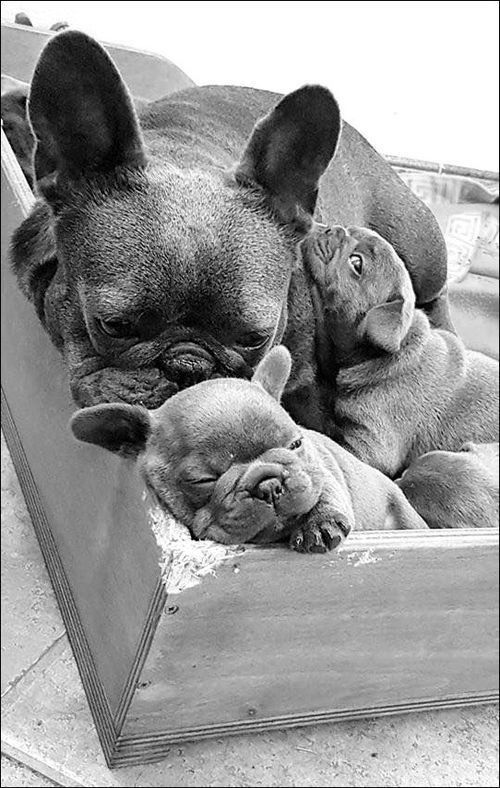 http://eliotkitty.e.l.pic.centerblog.net/99c3fc62.jpg