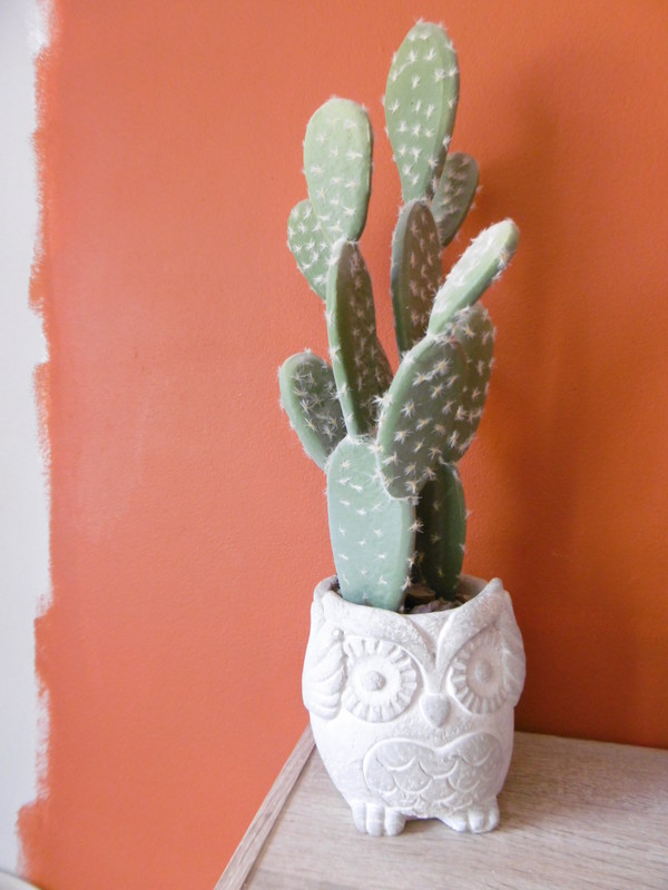 Hibou de ma collection