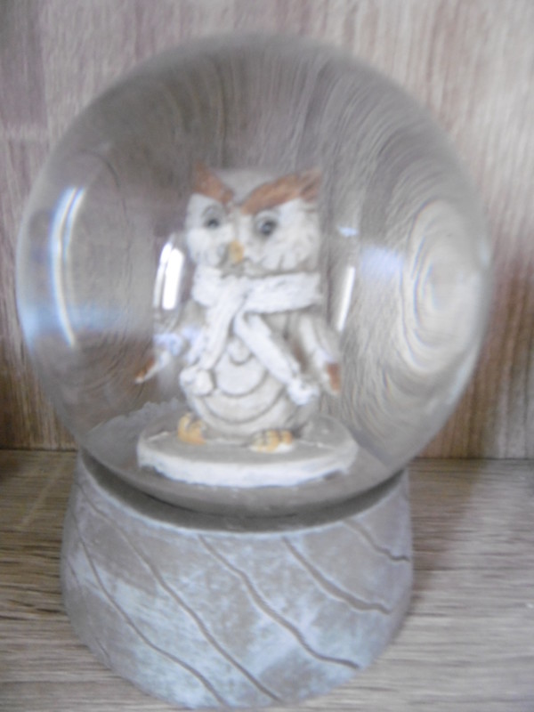 Hibou de ma collection